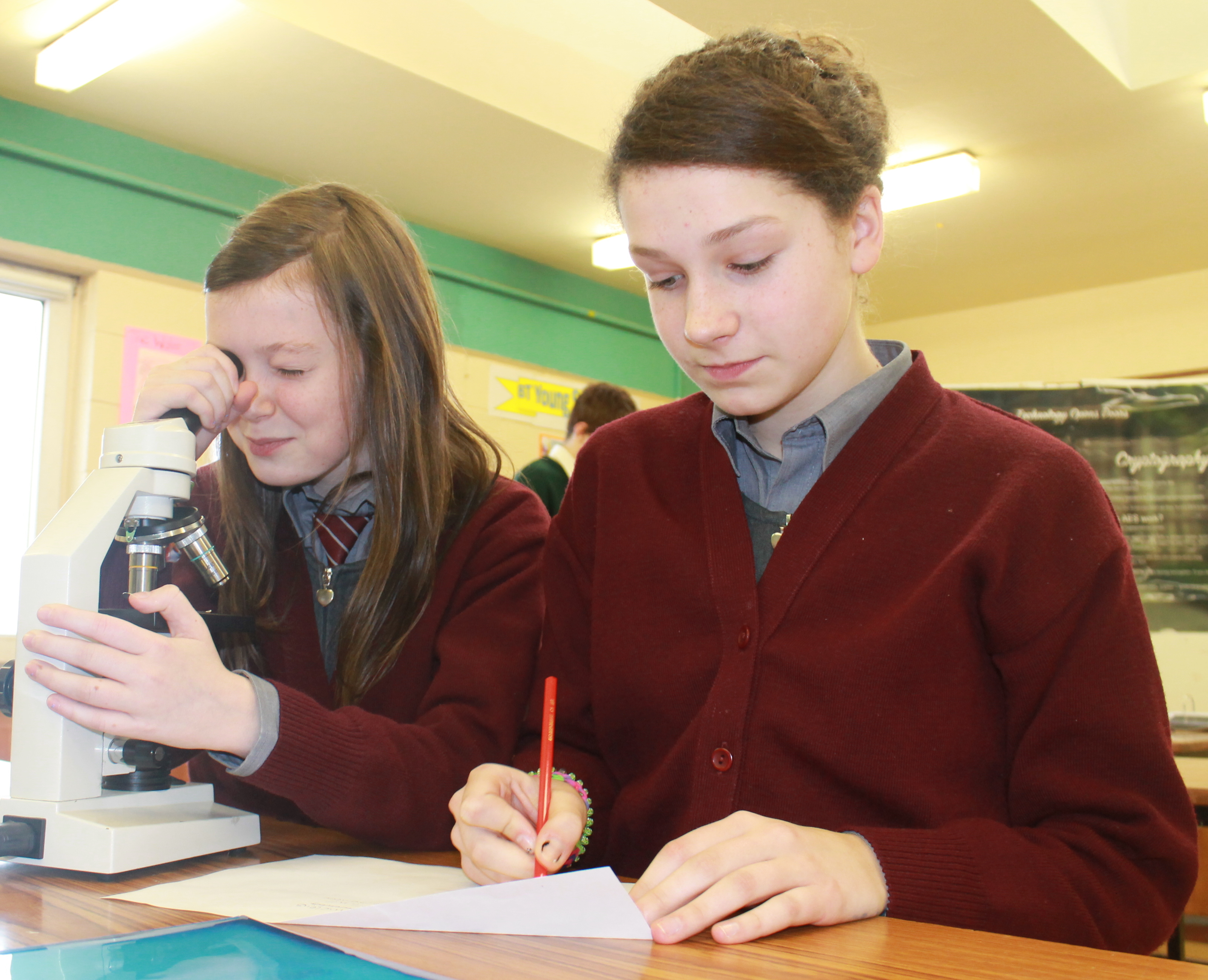 Girls from Breaffy National School, Castlebar examine plant cells during Science & Technology Week at Davitt College. This was just one in a range of Science Experiments and Computer Programming events that took place over the four day science and technology event.